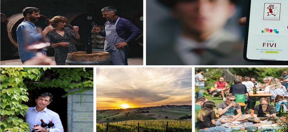 Un'app per scoprire oltre 1.600 vigneti e cantine in Italia